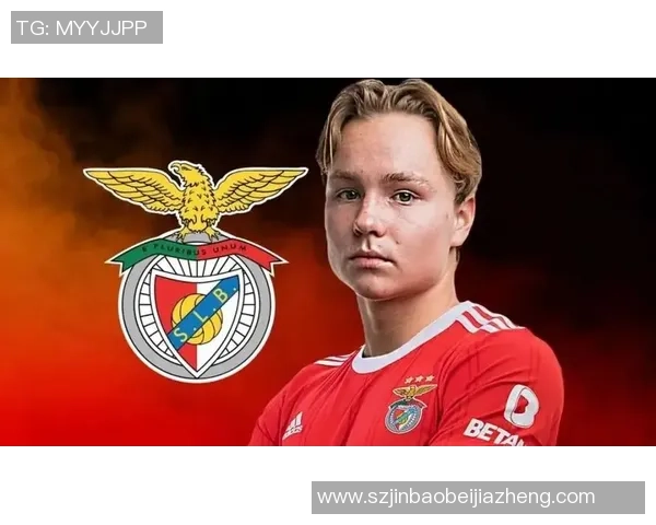 西安极限运动队如何通过区域防守革新提升竞技水平与团队协作能力